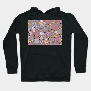 Salmon Stones Hoodie